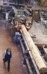 Työterveyslaitoksen kehittämä Työympäristöprofiili-niminen menetelmä paljastaa erilaiset riskit ja vaaratekijät. Kaikilla työpaikoilla ei tarvitse käydä läpi kaikkia seitsemää osiota, mutta Soinlahden sahalla työsuojeluvaltuutettu Teuvo Blombergin mukaan kaikki osiot olivat tarpeellisia. Foto. ANNAKATI MATTILA