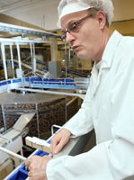 Yhteisty� ven�l�isten kanssa sujuu hyvin, sanoo Siegbert Sussman. H�n ty�skentelee Fazerin leipomossa Vantaan Vaaralassa. Foto: TUULIKKI HOLOPAINEN